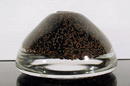 Collectible Glass Paperweight signed FTM