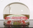 Collectible Glass Paperweight, Whitefriars 1898