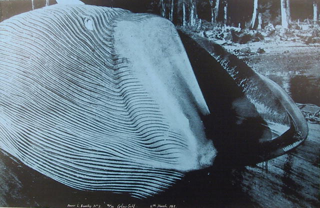 Colin Self Power and Beauty, 1969 Serigraph
