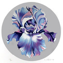 Lowell Nesbitt Signed Floral Serigraph, Iris
