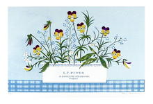 Mary Faulconer Flower Still Life, Lithograph