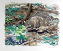Everett Hibbard Lithograph, Adirondack Bobcat