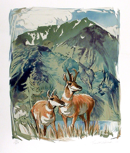 Everett Hibbard S/N Print, Prong Horn Antelope