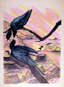 Susan Hall S/N Lithograph, Black Beauty (Bird)