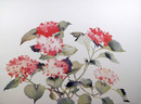S. Headley van Campen S/N Lithograph, Flowers