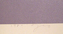 Daryl Hughto Abstract Silkscreen w/ Acrylic Pai