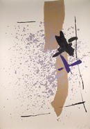 Kikou Saito, Acrylic & Collage on Silkscreen,