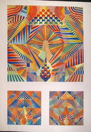 Perez Melero S/N Silkscreen, Optical Art, Ship