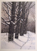 Helen Rundell S/N Lithograph, Snowy Trees