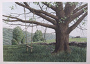 Helen Rundell S/N Lithograph, Landscape
