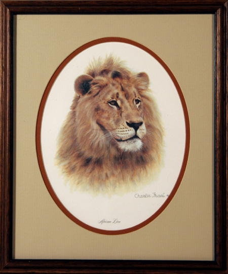 Charles Frace Framed Wildlife Print, African