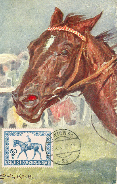 Early 1900's Postcard, Horse Portrait