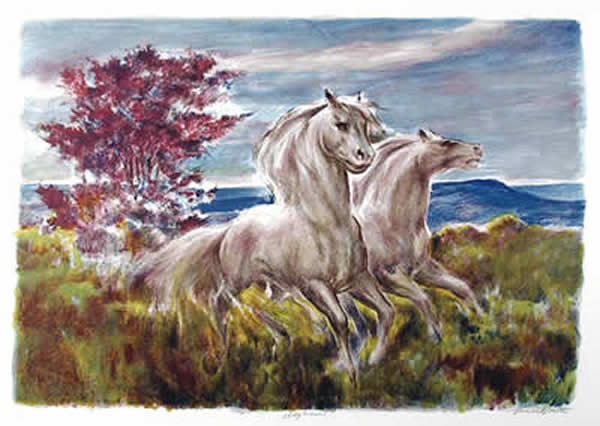Lumen Winter, Daybreak, Lithograph