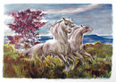 Lumen Winter, Daybreak, Lithograph