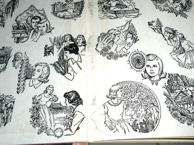 Nancy Drew, The Secret of Red Gate Farm Book