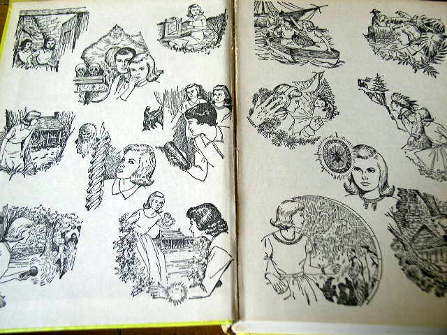 Nancy Drew, The Clue of the Tapping Heels Book