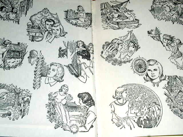 Nancy Drew, The Clue in the Old Stagecoach Book