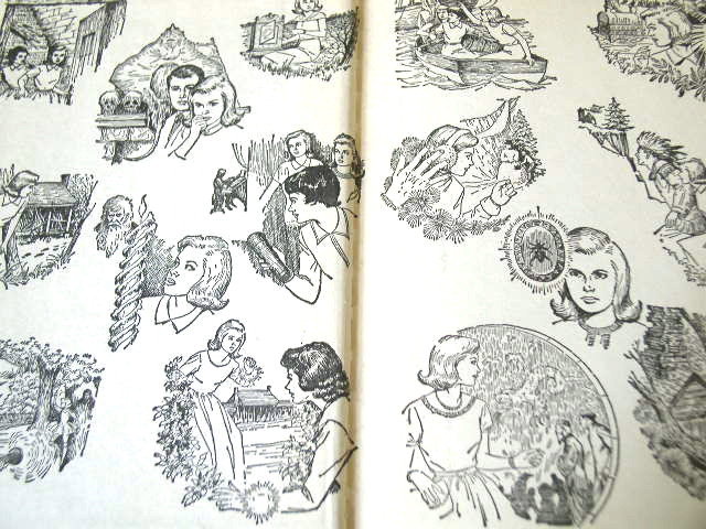 Nancy Drew, The Mystery of the Fire Dragon Book