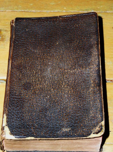 Danish Hymnal - 1895