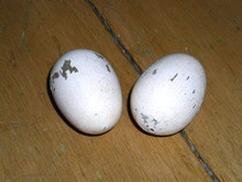 Wooden Nesting Eggs