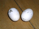 Wooden Nesting Eggs
