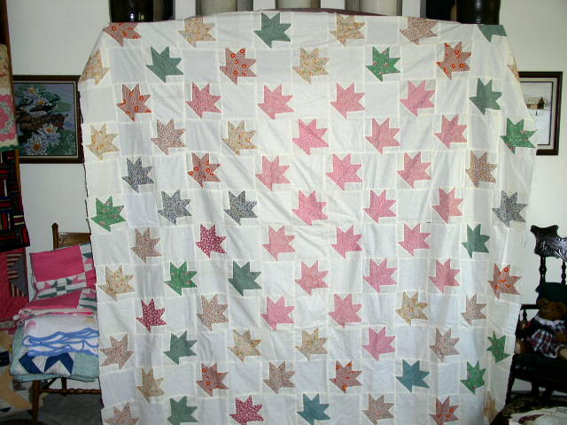 Cactus Basket Quilt Top - QTP