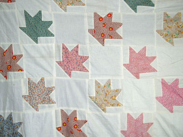 Cactus Basket Quilt Top - QTP