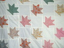 Cactus Basket Quilt Top - QTP