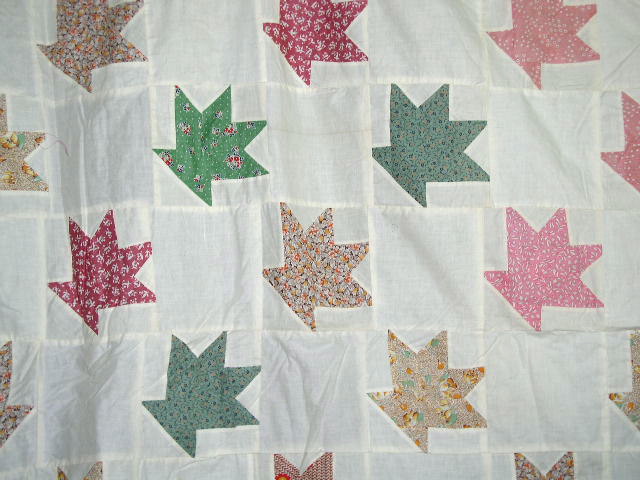 Cactus Basket Quilt Top - QTP