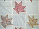 Cactus Basket Quilt Top - QTP