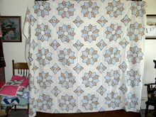 Dresden Plate Quilt - QLT
