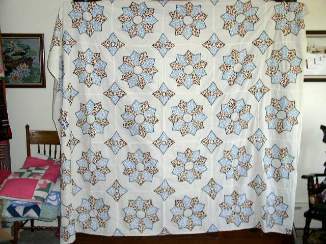 Dresden Plate Quilt - QLT