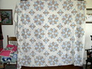 Dresden Plate Quilt - QLT