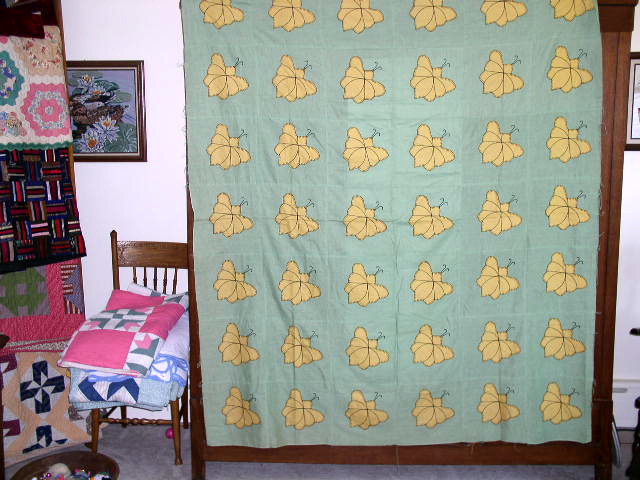 Appliqued Butterfly Quilt Top - QTP