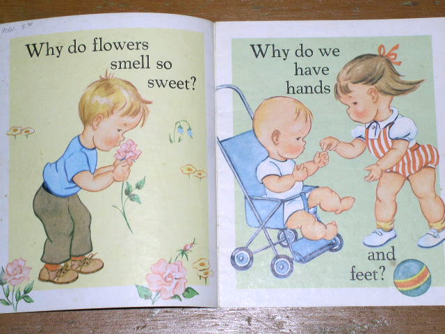 Why? Children's Book