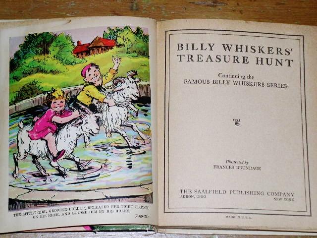 Billy Whiskers' Treasure Hunt Book