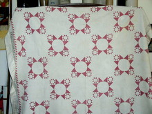8 Pointed Star Pattern Quilt - QLT