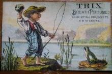 Advertising Card