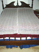 Lace Curtain Panels