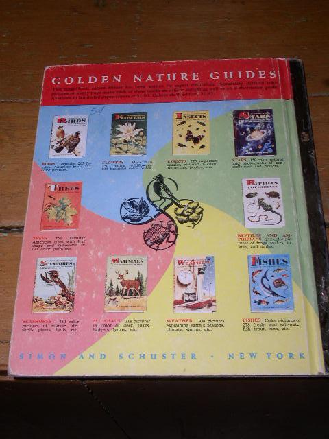 Circus Boy #290, Litt;le Golden Book, First Printing.