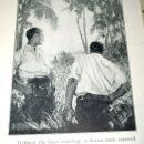 The Lakewood Boys In The South Sea Islands - SALE ITEM