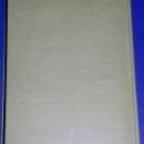 The Bobbsey Twins in Washington, First Edition