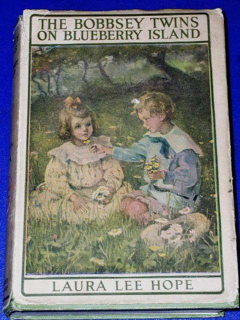 The Bobbsey Twins On Blueberry Island