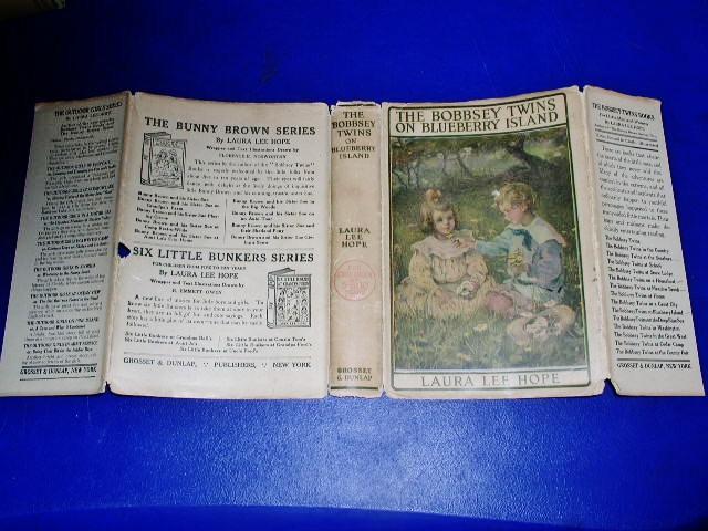 The Bobbsey Twins On Blueberry Island