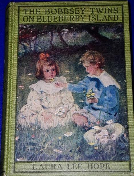 The Bobbsey Twins On Blueberry Island