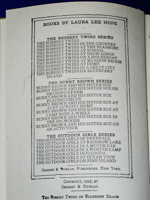 The Bobbsey Twins On Blueberry Island