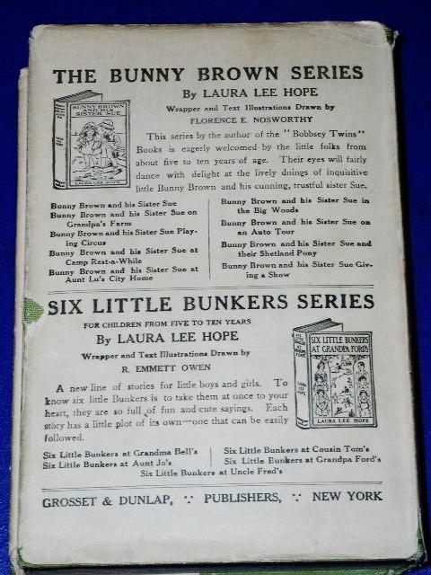 The Bobbsey Twins On Blueberry Island