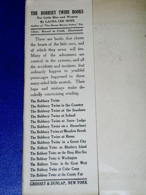 The Bobbsey Twins On The Deep Blue Sea