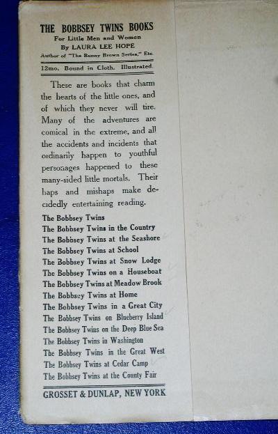 The Bobbsey Twins At The Seashore