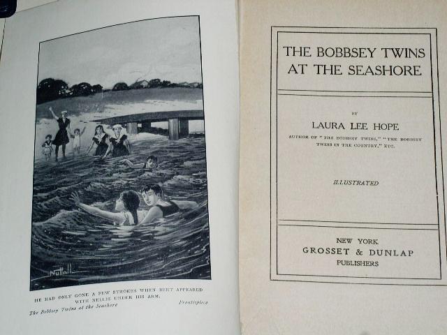 The Bobbsey Twins At The Seashore